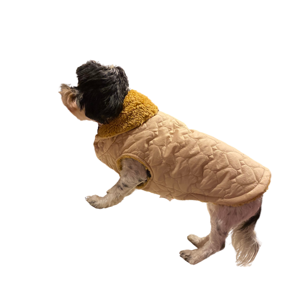 Gedyco Bej Kapitone İçi Peluşlu Küçük Irk Köpek Yeleği