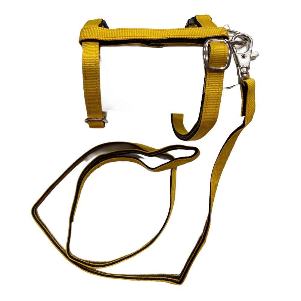 Koyu Sarı Kedi ve Köpek Gezdirme Kayışı ve Göğüs Tasma Seti