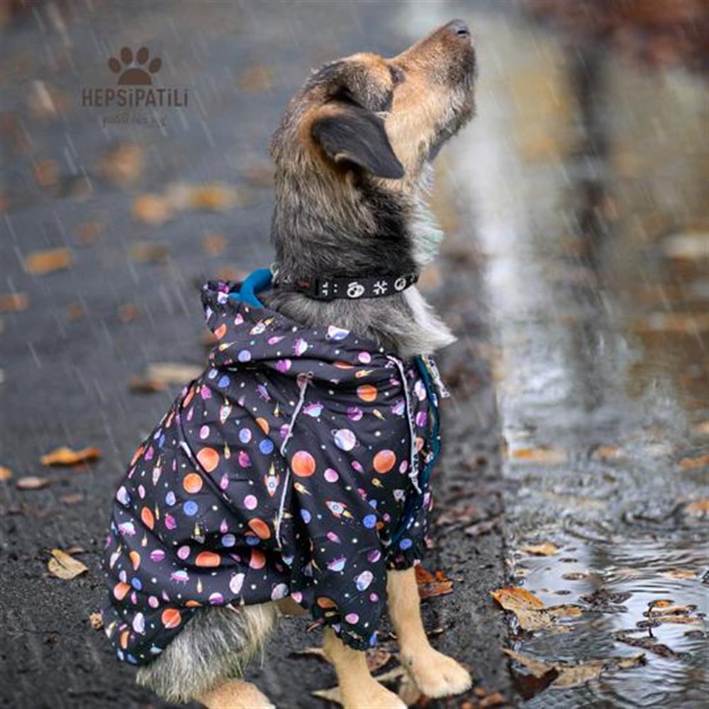 Pawstar Locus İçi Polar Orta-Büyük Irk Köpek Yağmurluğu