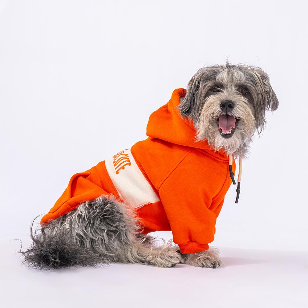 Pawstar Turuncu Cute Polarlı Küçük Irk Köpek Sweatshirtü