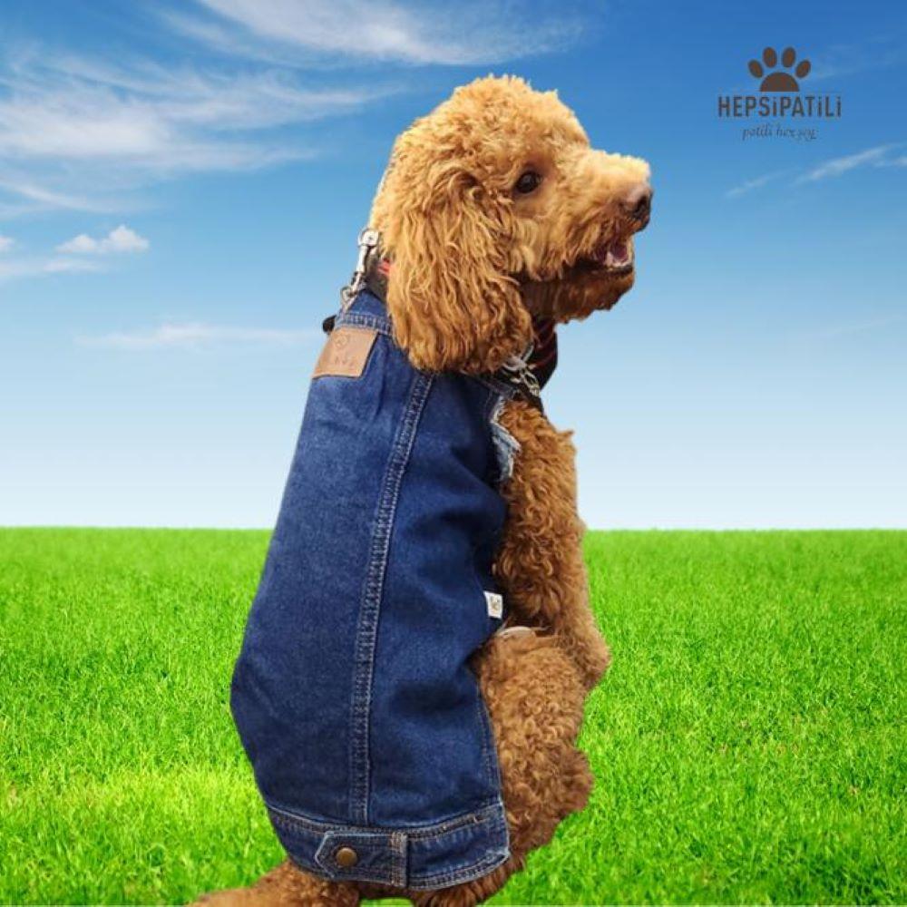 Küçük Irk Köpek için Dark Jean Yelek