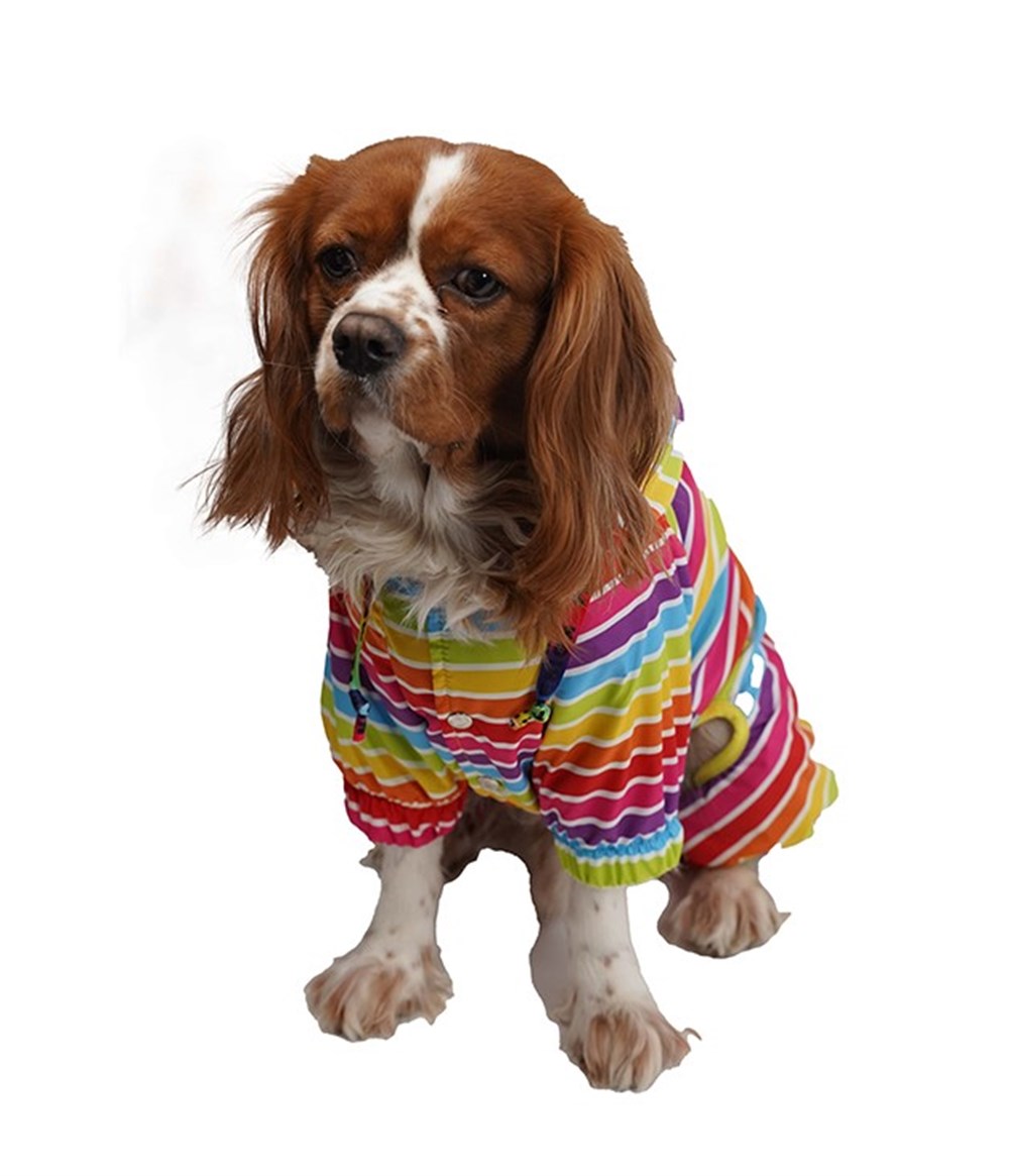 Pawstar Colorum İçi Polar Küçük Köpek Yağmurluk Tulumu