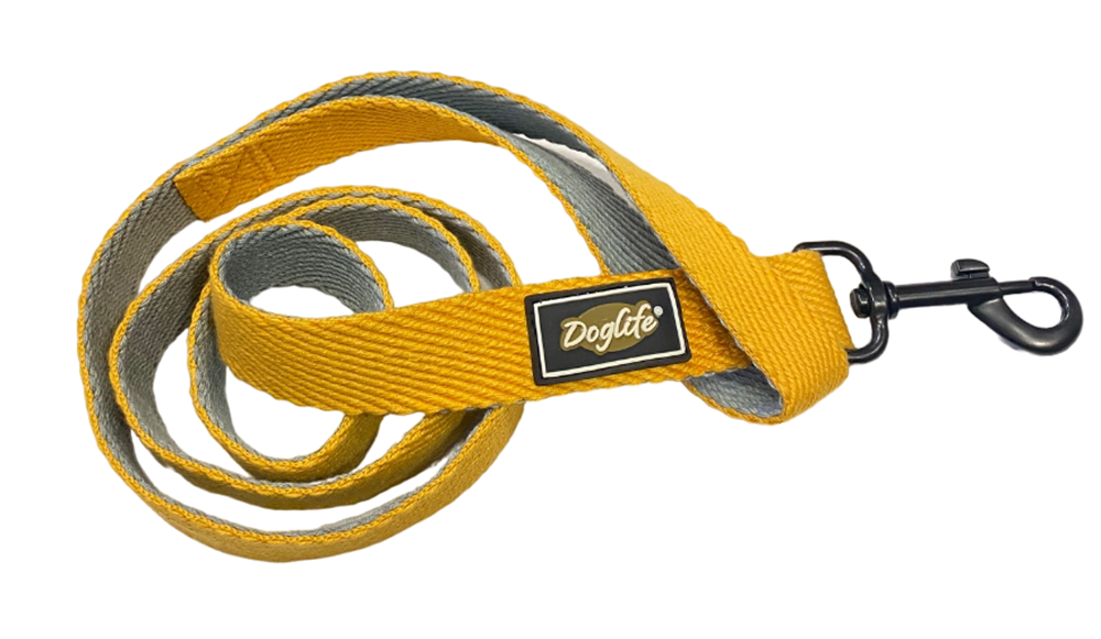 Kayısı Koton Köpek Gezdirme Tasması (2,5 cm x 120 cm)