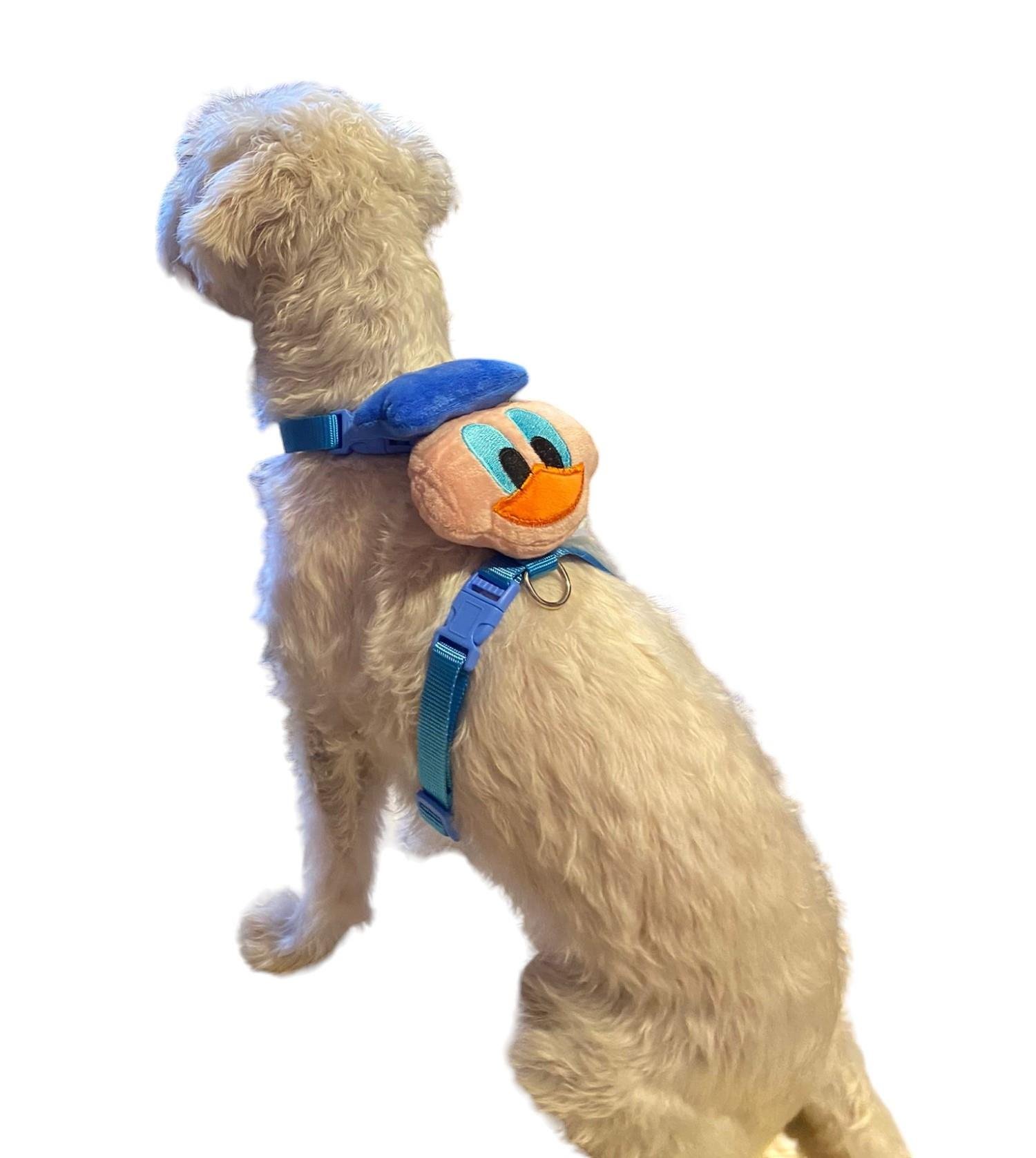 Donald Kedi ve Köpek Gezdirme ve Göğüs Tasma Seti (Göğüs: 30 cm - 50 cm)