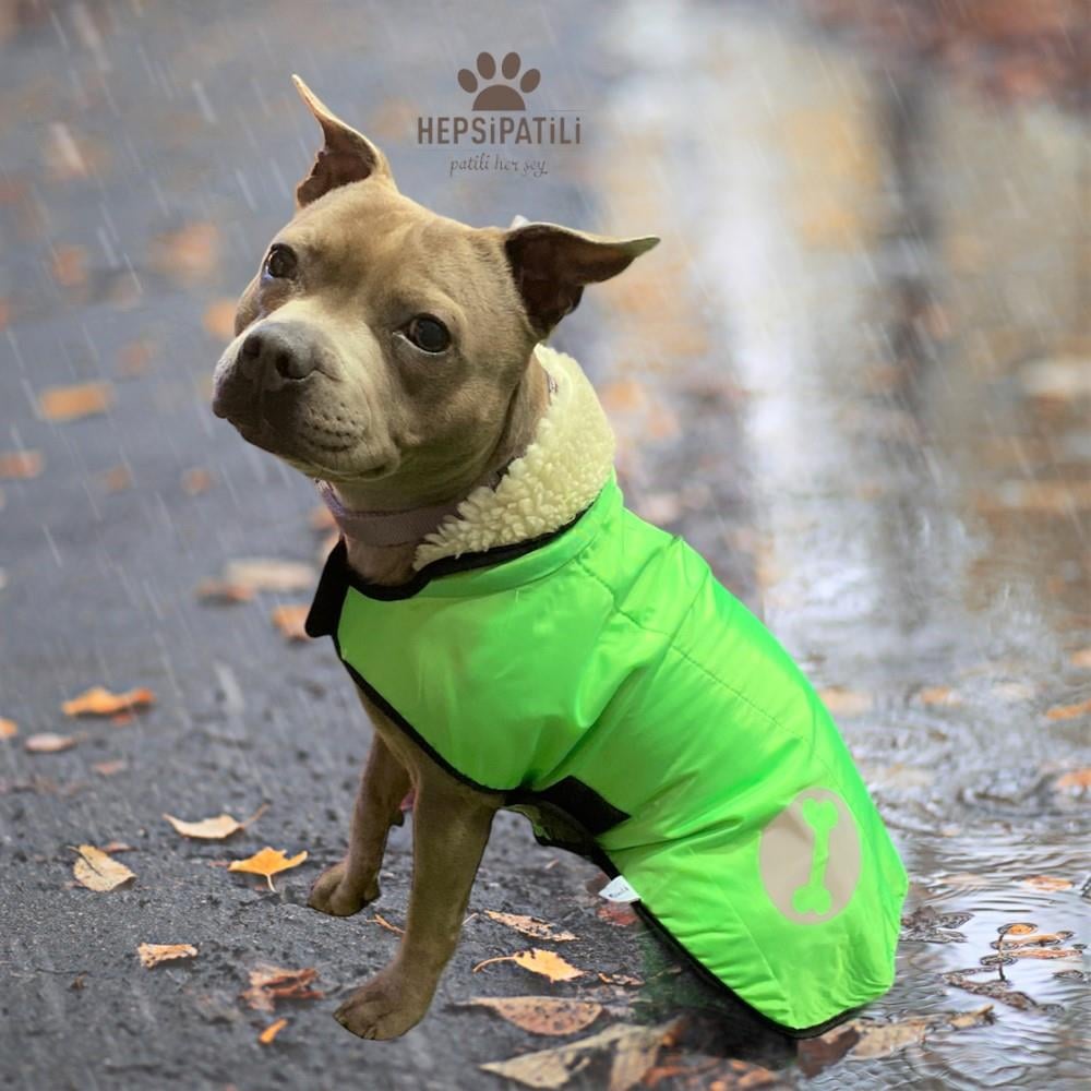 Pratik Giyim Reflektörlü İnce Küçük Köpek Yağmurluğu (4,5 kg-14 kg arasına uygun) Yeşil