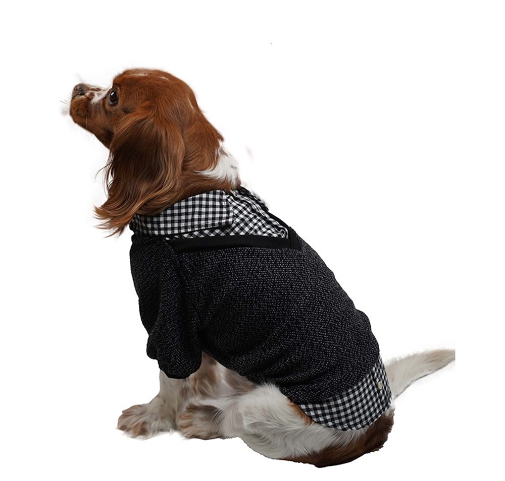 Pawstar College Black Küçük Köpek Kazağı