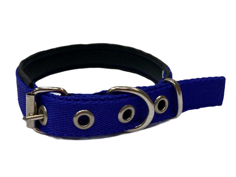 Mavi Köpek Boyun Tasması 2 cm x 40-46 cm