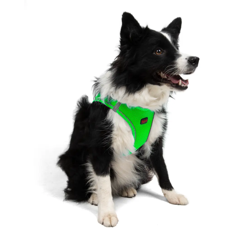 Tailpetz Air-Mesh Neon Green Göğüs Tasması