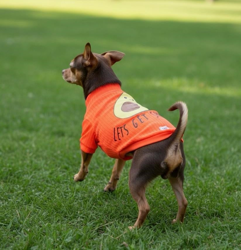 Avocado Neon Turuncu Esnek Küçük Irk Köpek T-shirtü (1 kg-12 kg arasına uygun bedenlerde)