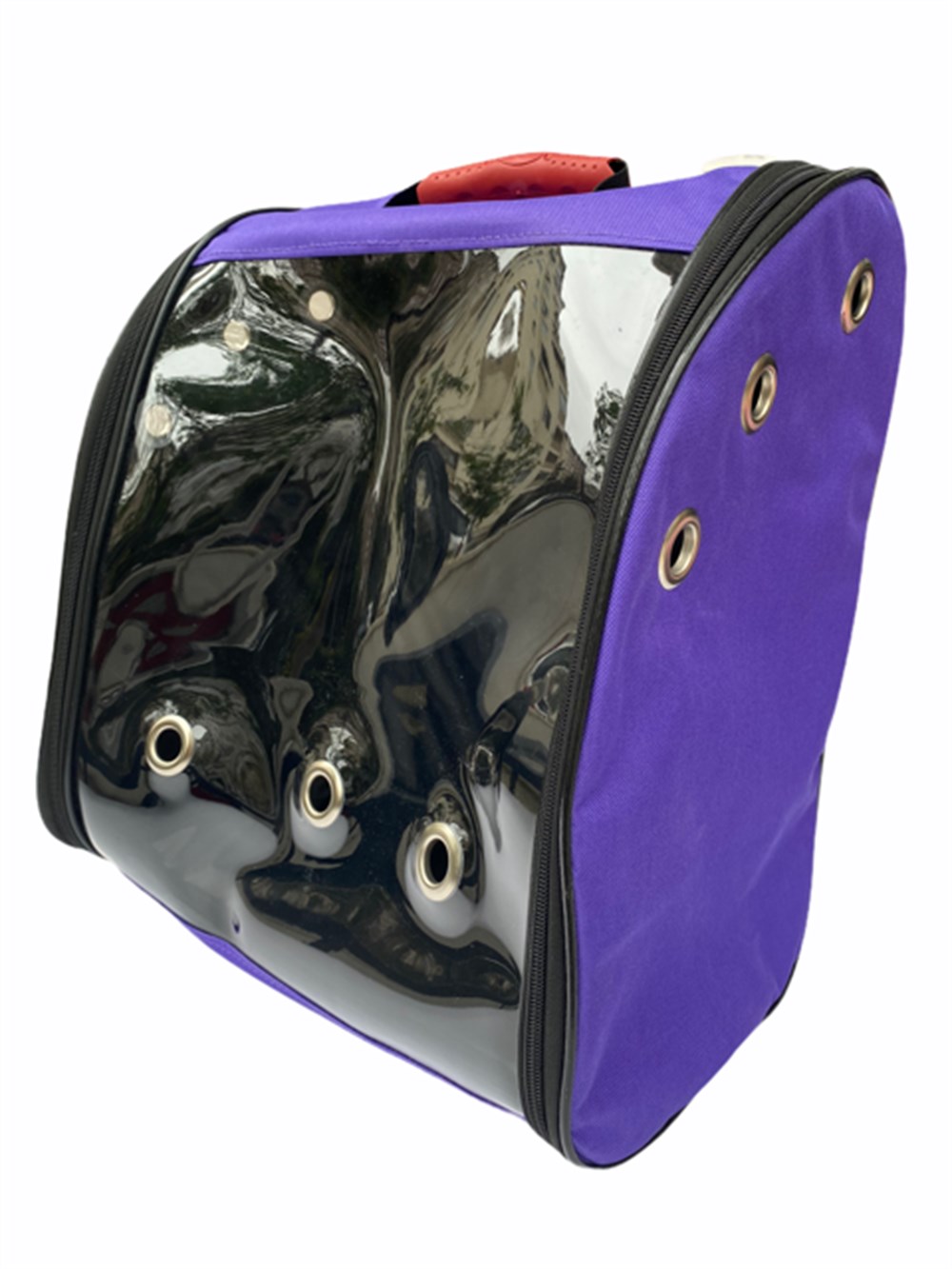 Şeffaf - Mor Kedi ve Köpek Büyük Sırt Taşıma Çantası