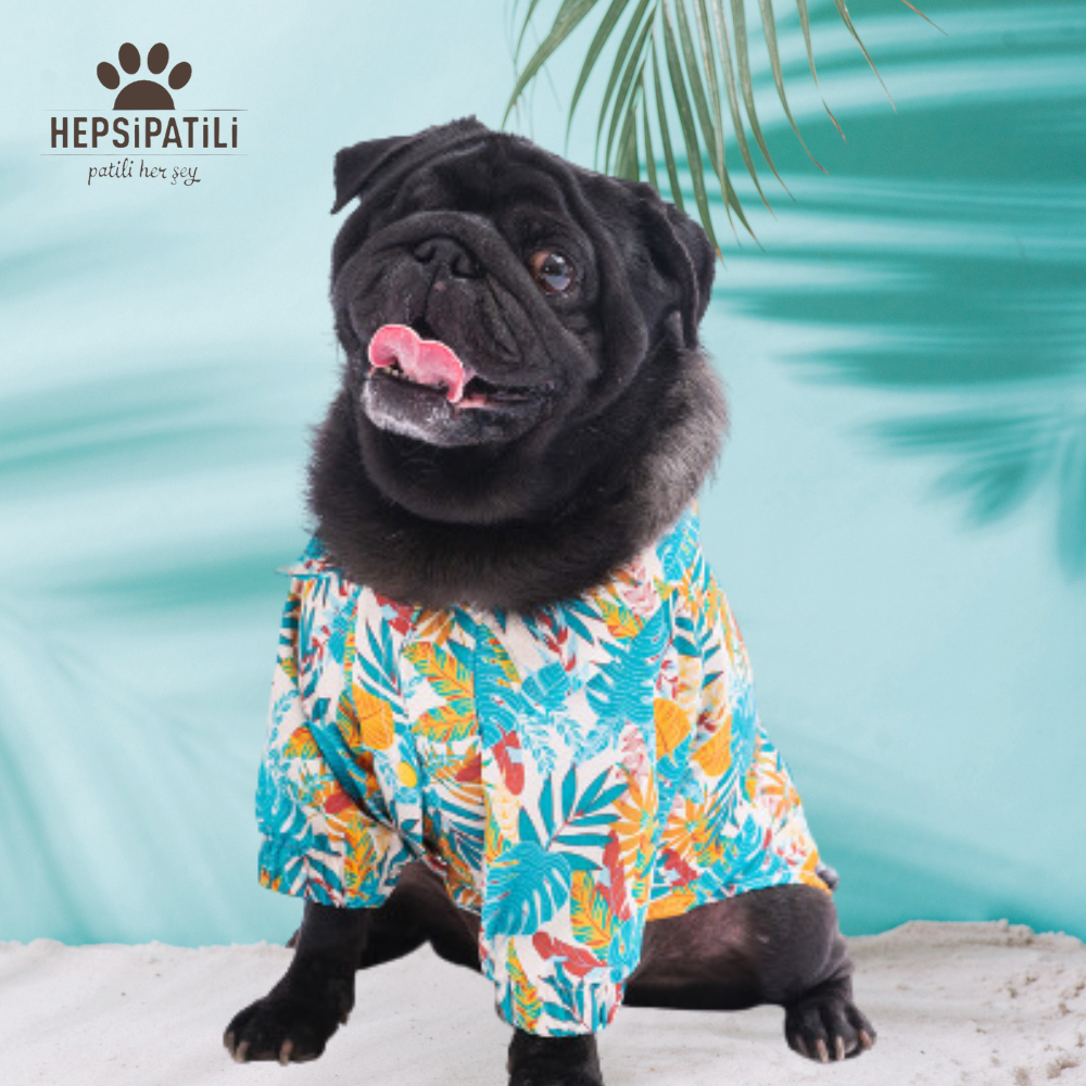 Pawstar Folia Kedi ve Küçük Irk Köpek Gömleği