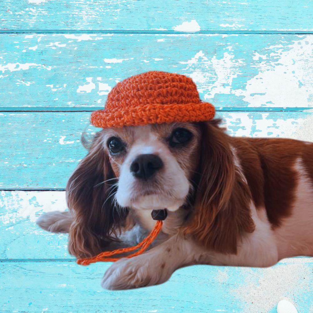 Orange Hasır Yazlık Küçük Irk Köpek Şapkası 14 cm