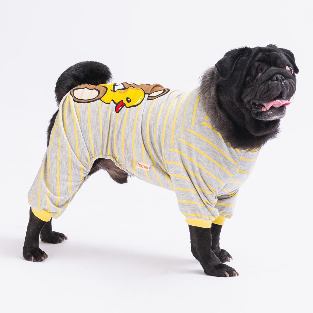 Pawstar Teddy Bear Küçük Irk Köpek Penye Tulum (2,5 kg-11 kg arasına uygun)