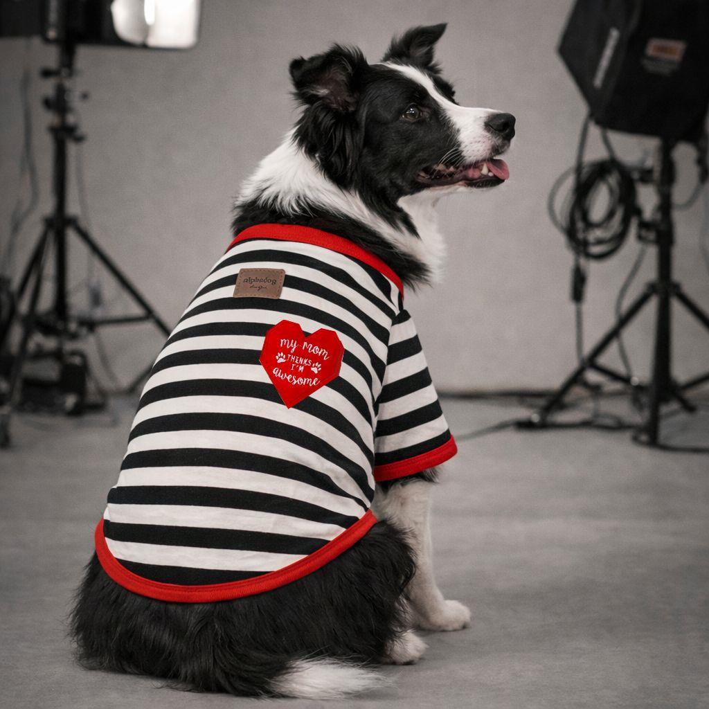 Alphadog Awesome Orta-Büyük Irk Köpek T-shirtü