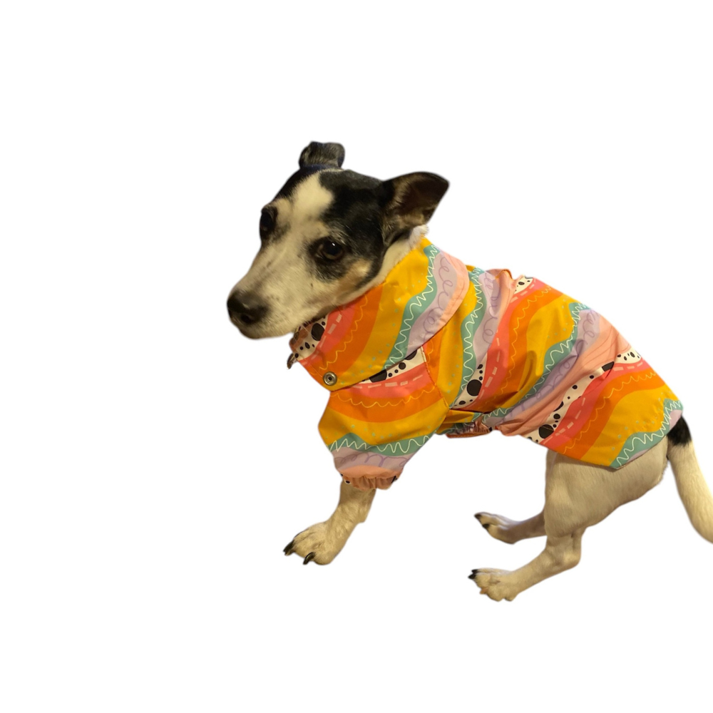 Gedyco Colorful Wave Fileli Küçük Irk Köpek Yağmurluğu