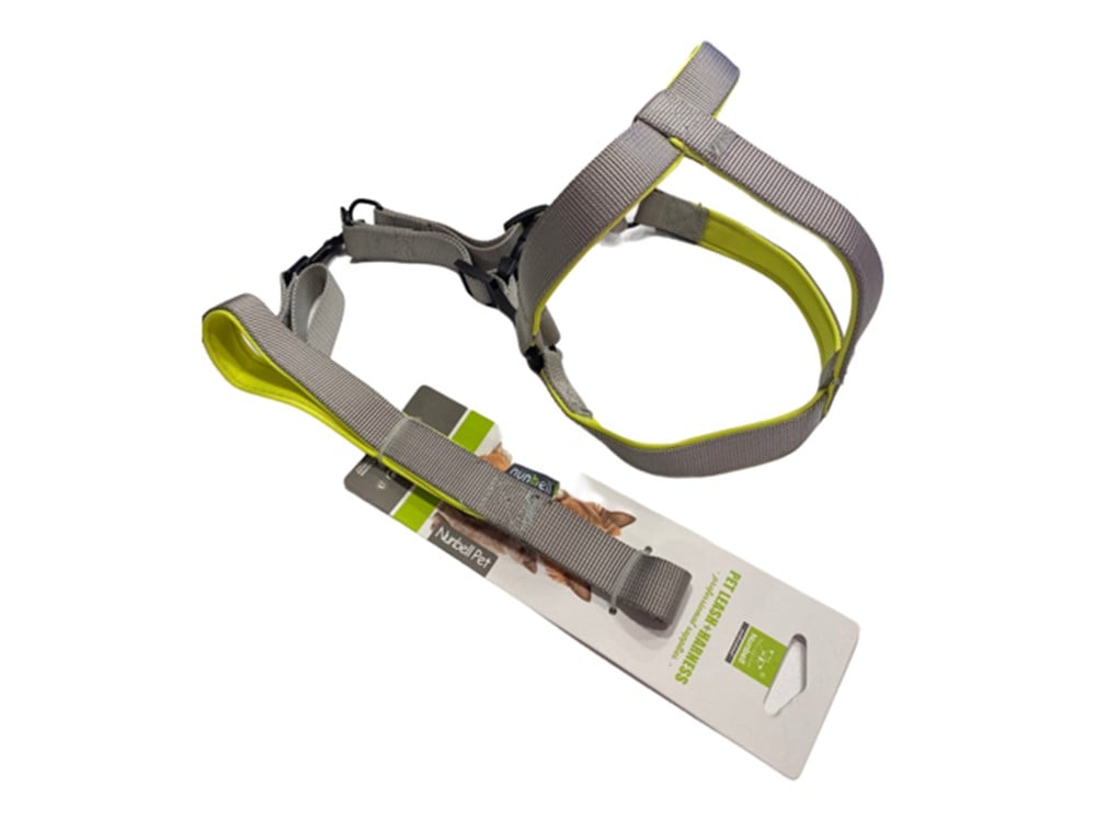 Gri - Sarı Köpek Tasma Seti 2 cm - 120 cm (45 cm göğüs)