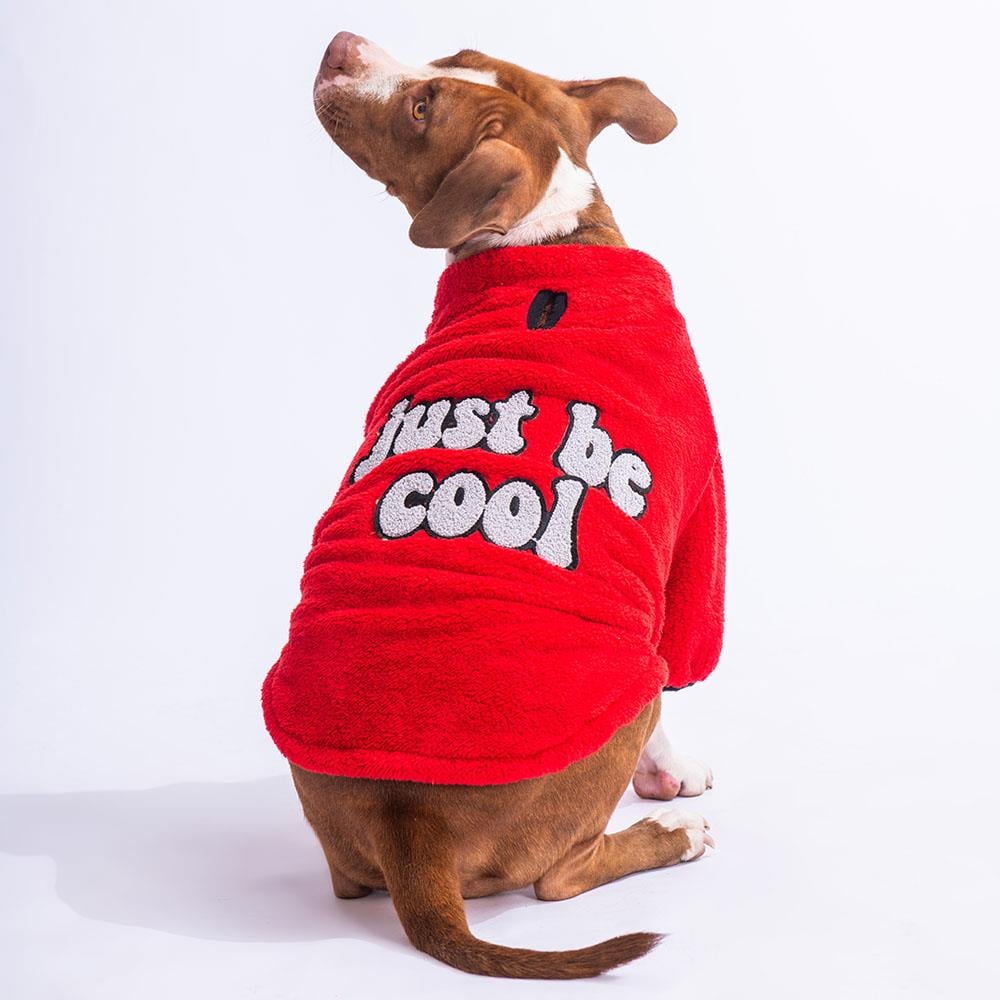 Pawstar Kırmızı Cool Sweet Orta-Büyük Irk Köpek Pofuduk Sweatshirt