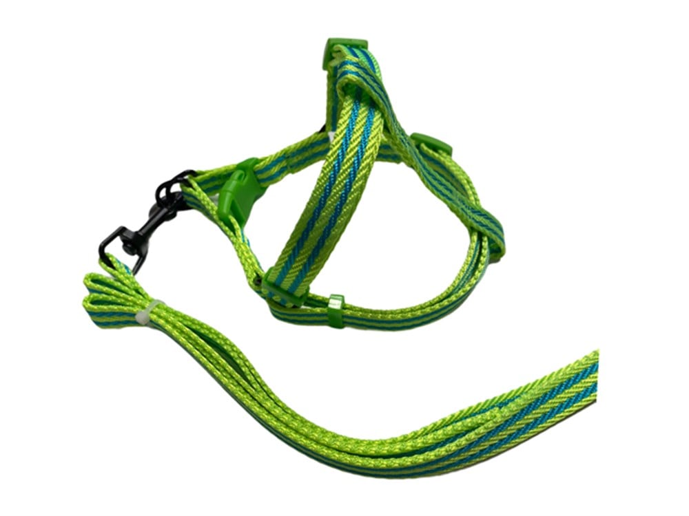 İpeksi Yeşil Köpek Tasma Seti 1,5 cm - 120 cm (35 - 50 cm göğüs) 