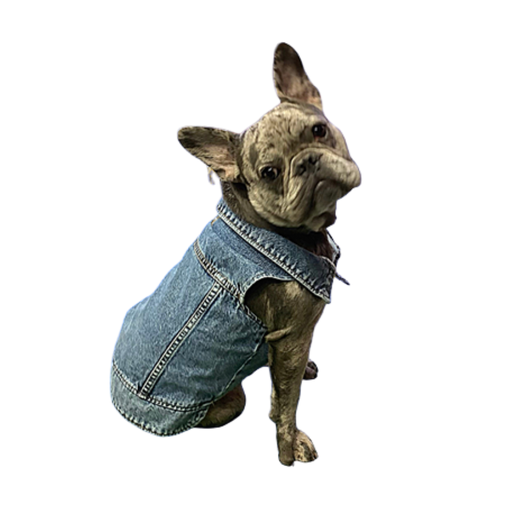 Küçük Irk Köpek için Jean Yelek (2 kg-12 kg arasına uygun bedenlerde)