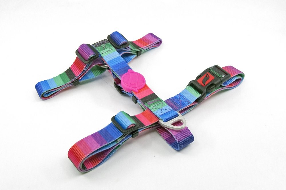 Tailpetz H-tip Wave S Küçük Irk Köpek Göğüs Tasması (Göğüs 32 cm x 51 cm)