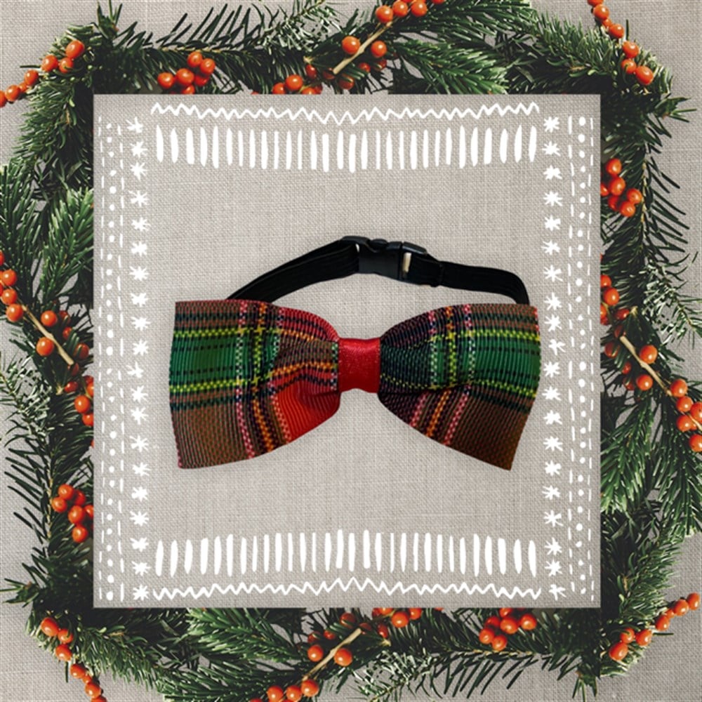 Ekoseli Papyon Tasma