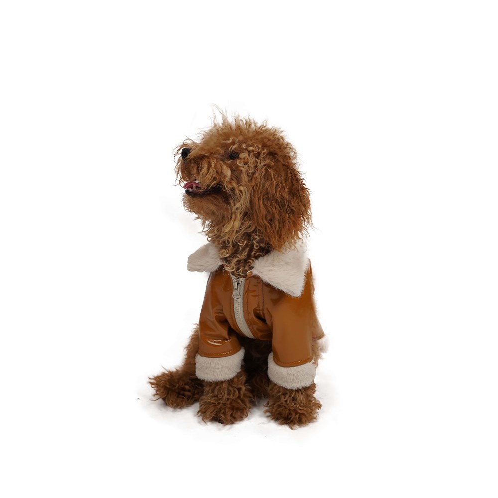 Pawstar Camel Clara Küçük Irk Köpek Montu