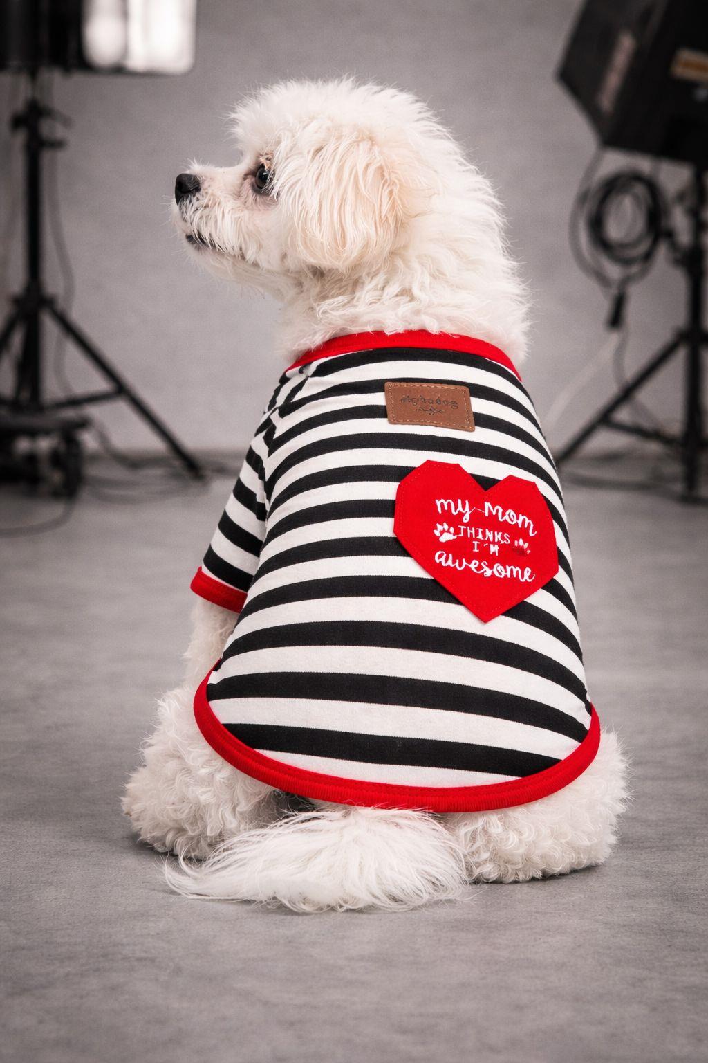 Alphadog Awesome Küçük Irk Köpek T-shirtü