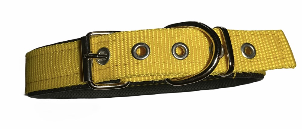 Sarı Köpek Boyun Tasması 3 cm x 48-60 cm