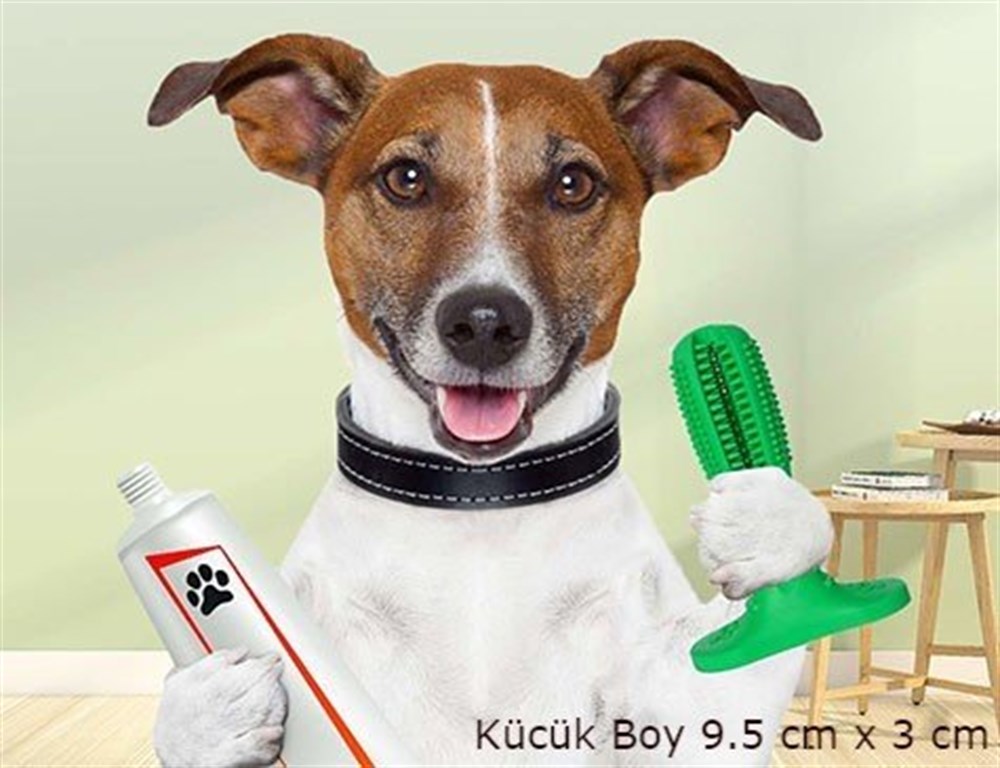 Köpek Diş Temizleme Oyuncağı (Büyük Boy)