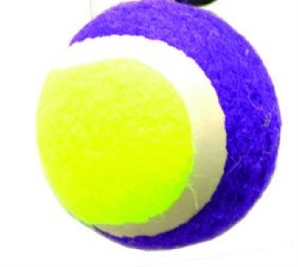Doglife Renkli Tenis Topu 6,5 cm