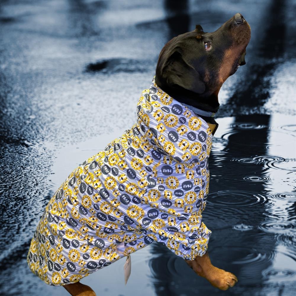 Gedyco Lion Su Geçirmez içi Fileli Büyük Irk Köpek Yağmurluğu