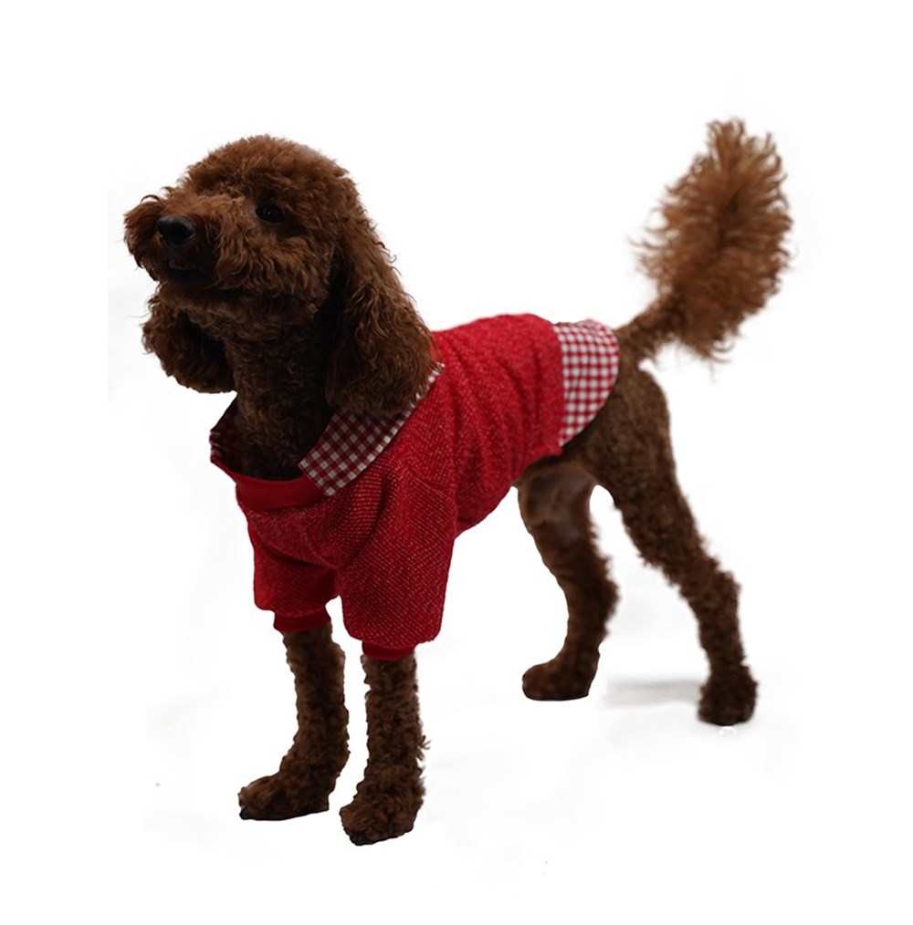 Pawstar College Red Küçük Köpek Kazağı