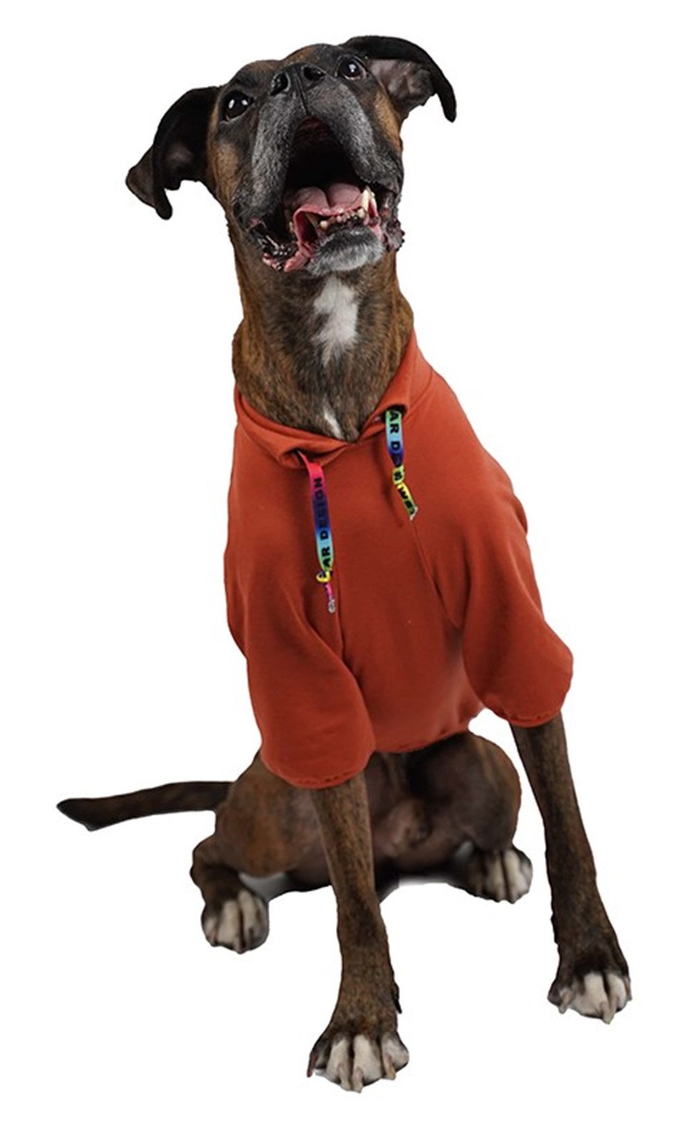 Pawstar Don't Panic Terracota Orta-Büyük Irk Köpek Sweatshirtü