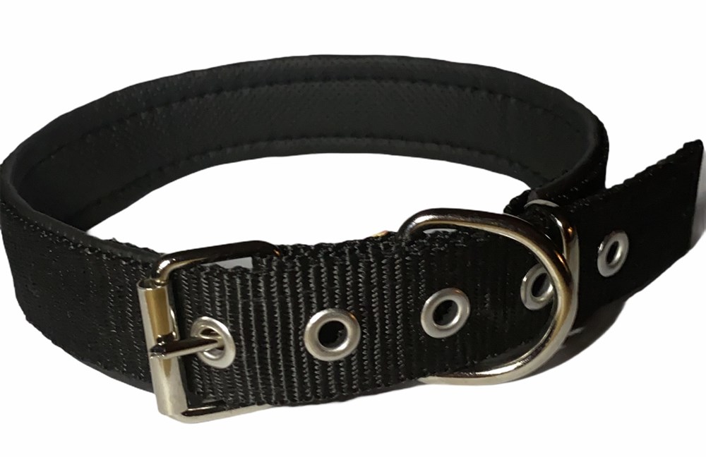 Siyah Köpek Boyun Tasması 3 cm x 48-60 cm