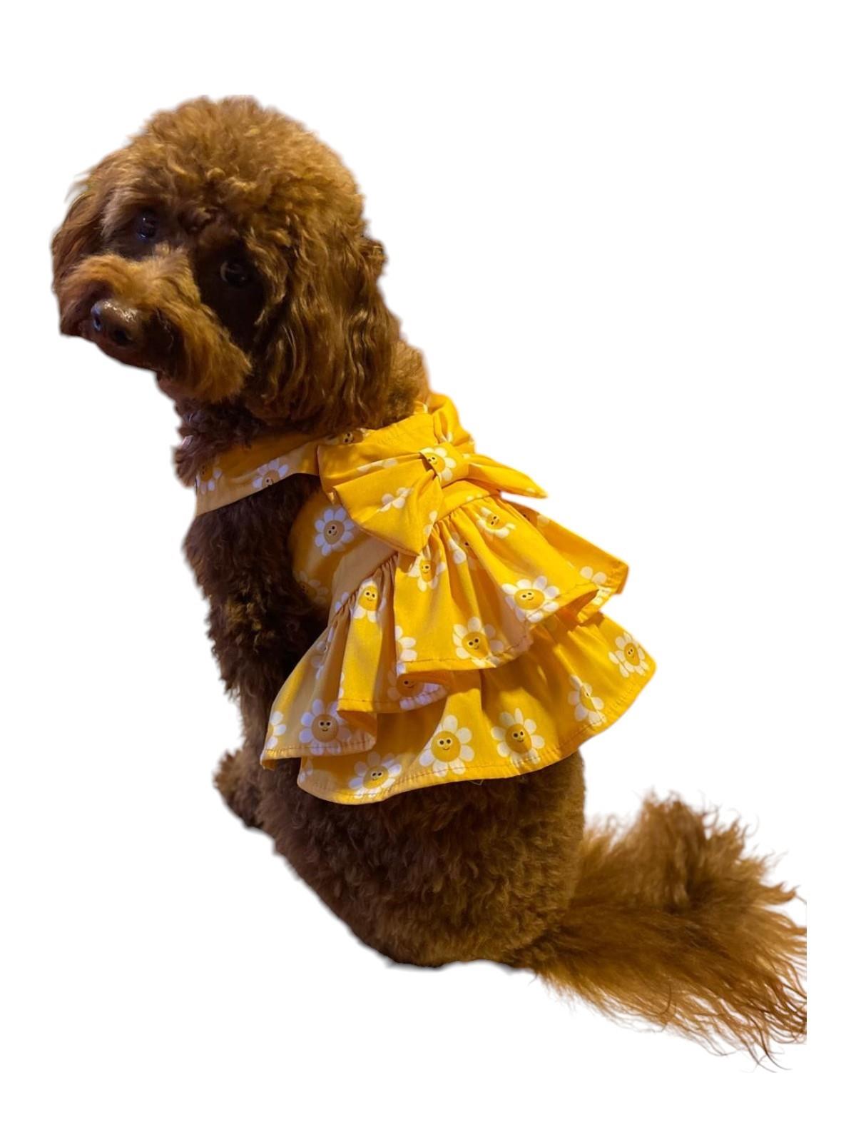 Gedyco Daisy Fırfırlı Salopet Küçük Irk Köpek Elbisesi