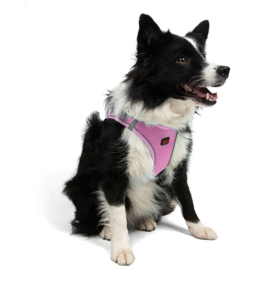 Tailpetz Air-Mesh Lilac Göğüs Tasması
