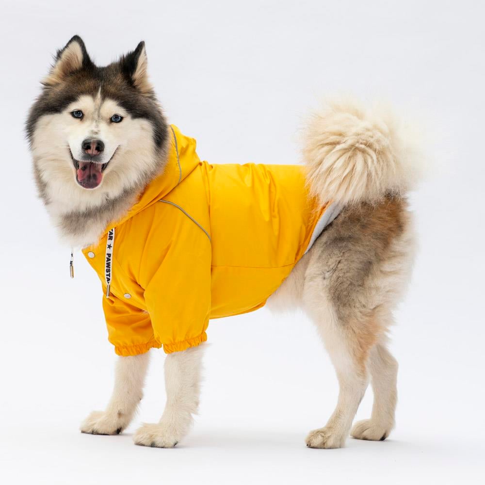 Pawstar Pluvia İçi Polar Orta-Büyük Irk Köpek Yağmurluğu Sarı