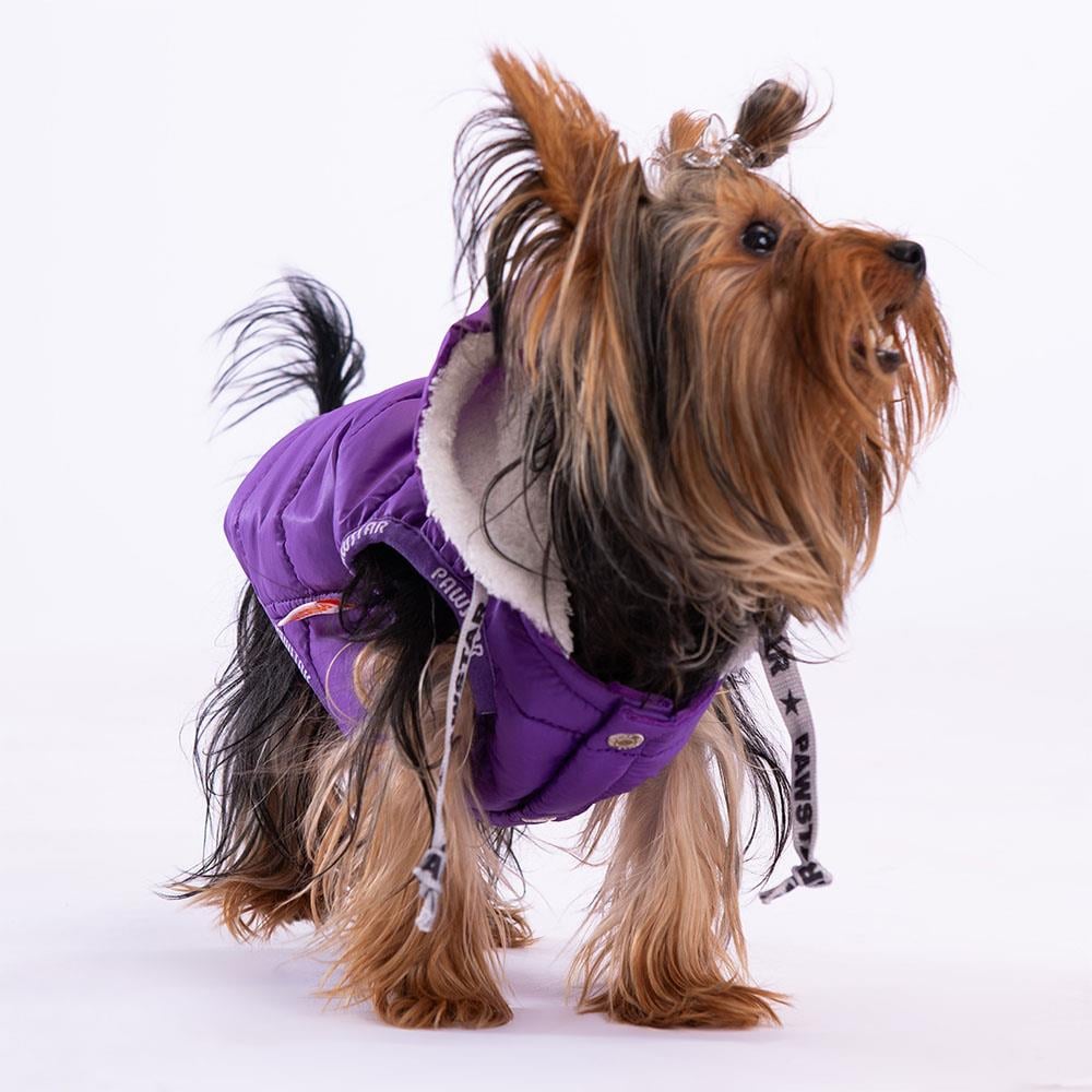 Pawstar Railway Mor Su İtici Küçük Irk Köpek Yelek Yağmurluk