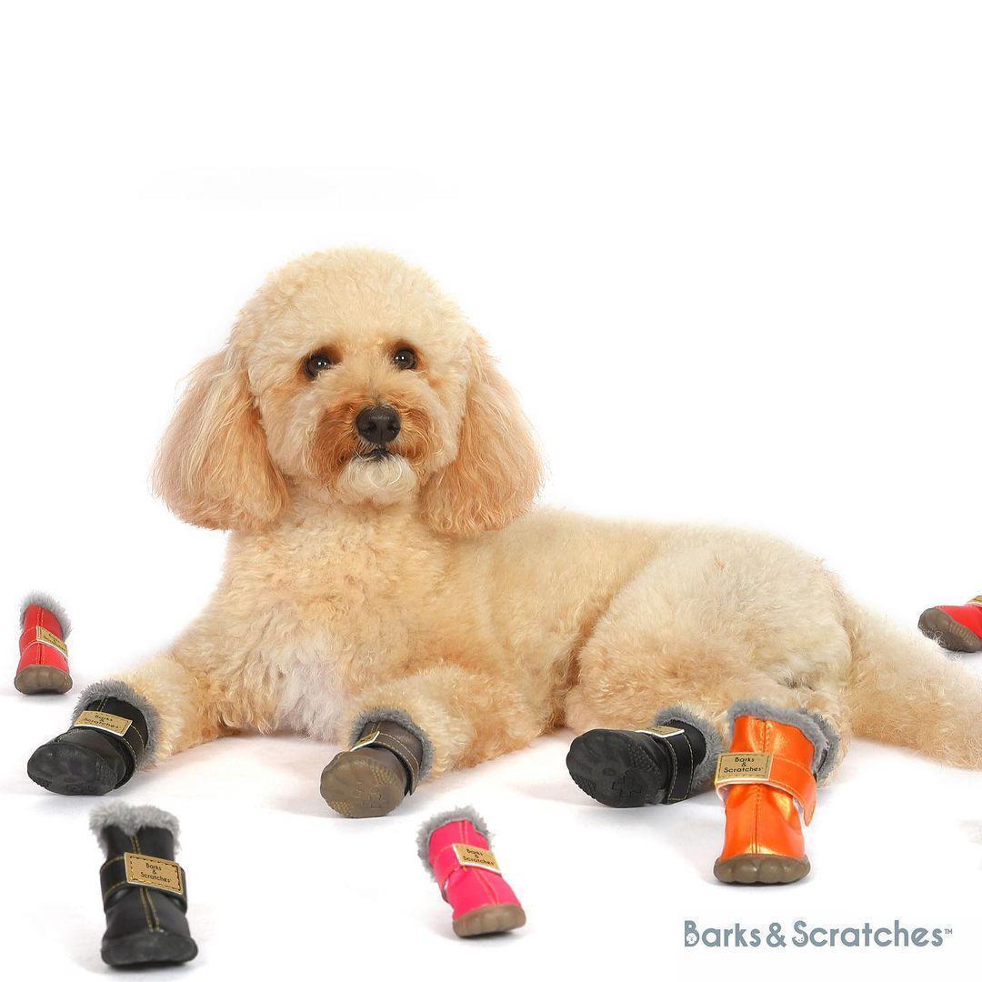 Barks&Scratches Kırmızı Köpek Ayakkabısı-5