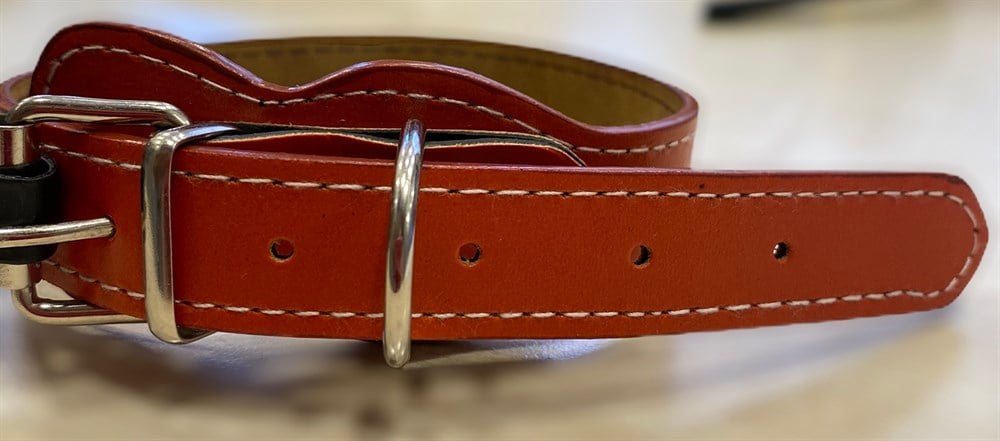 Doglife Deri Turuncu Boyun Tasması 2 cm x 40 cm