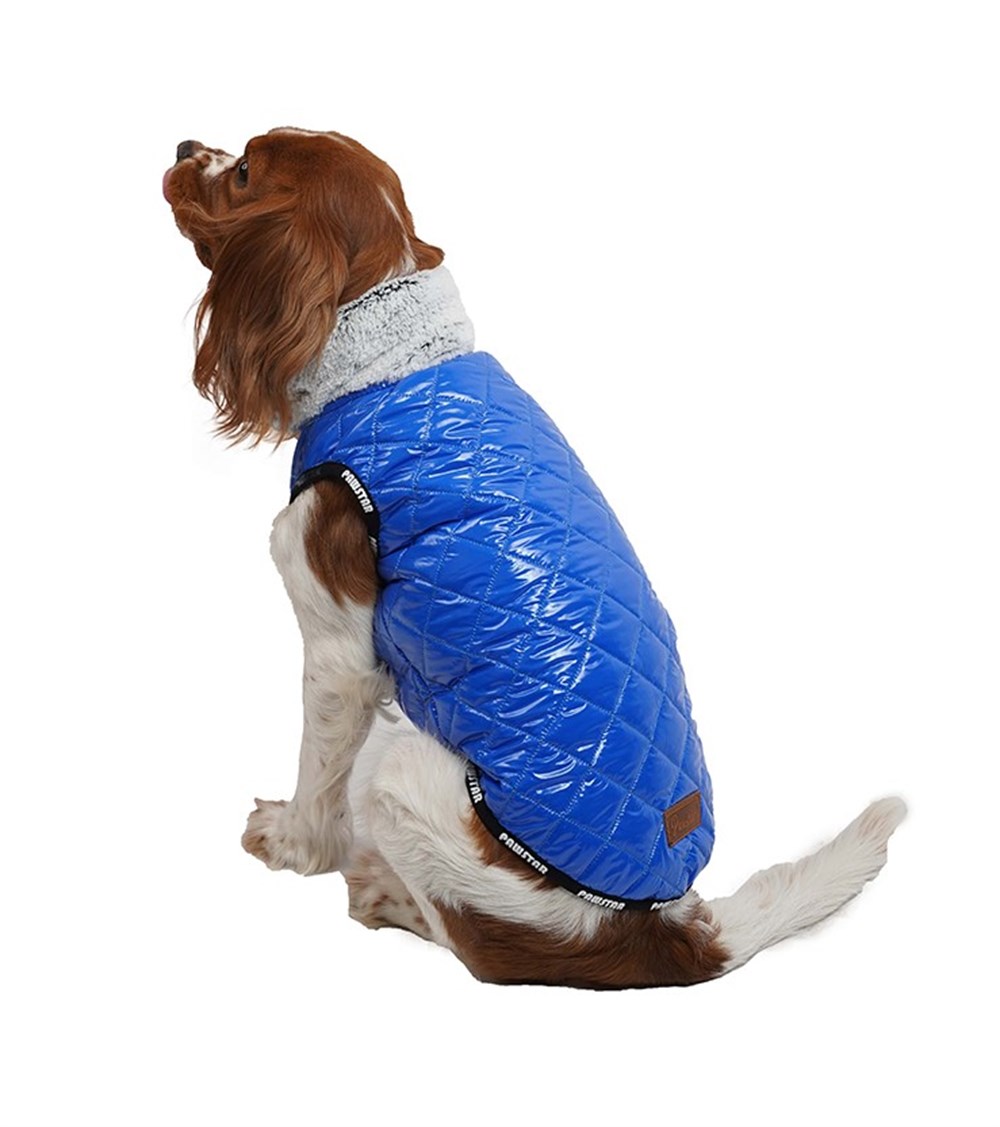 Pawstar Puff Mavi Küçük Köpek Montu