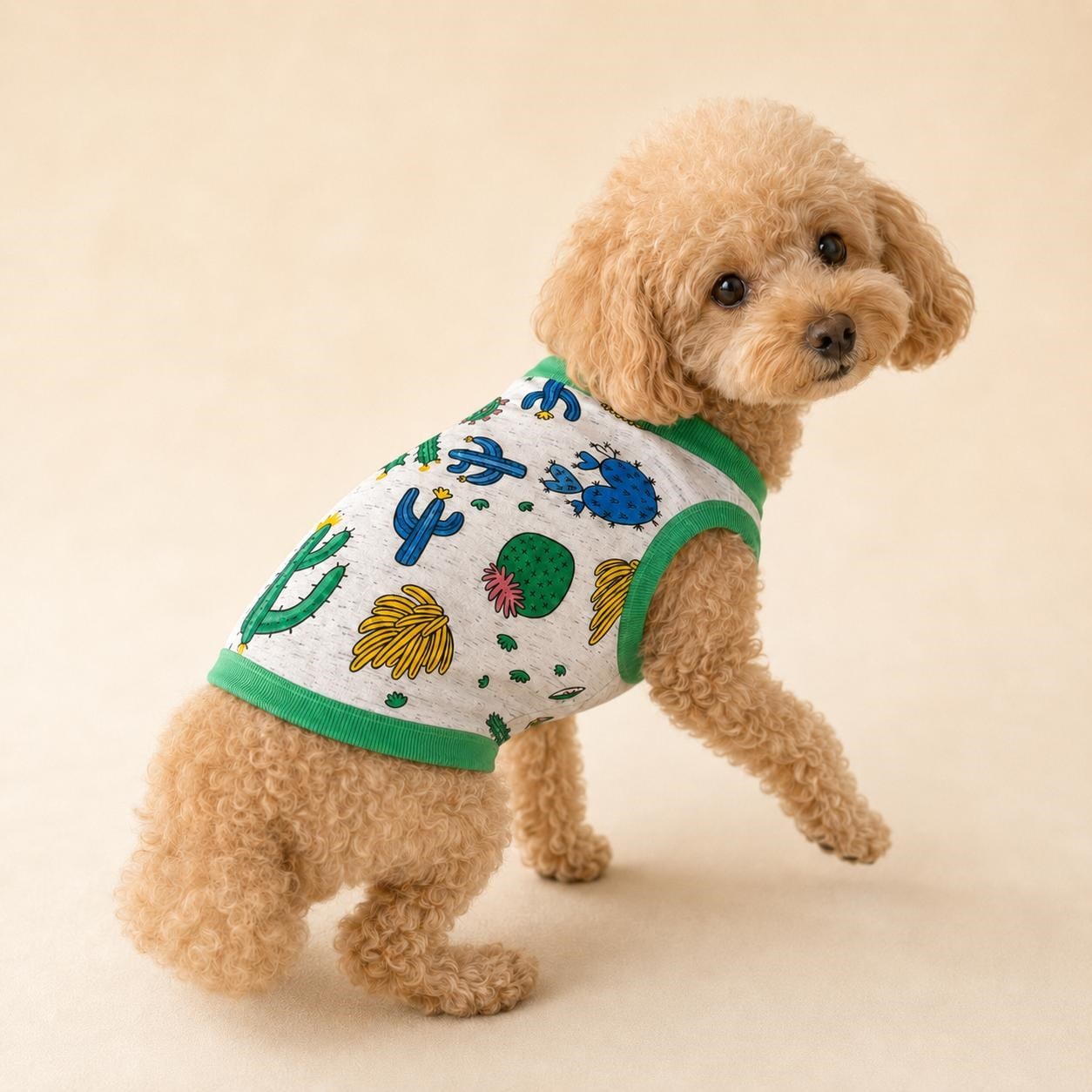 Miniş Cactus Mood Küçük Irk Köpek Esnek Penye T-Shirt