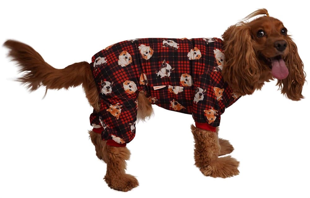 Pawstar Dogs Küçük Köpek Penye Tulum Pijama