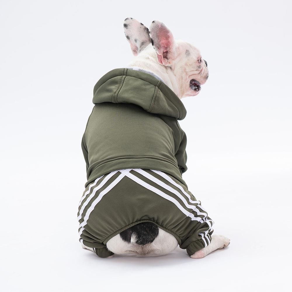 Pawstar Haki Tuta Küçük Irk Köpek Tulumu