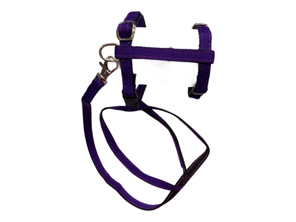 Mor Kedi ve Köpek Gezdirme Kayışı ve Göğüs Tasma Seti
