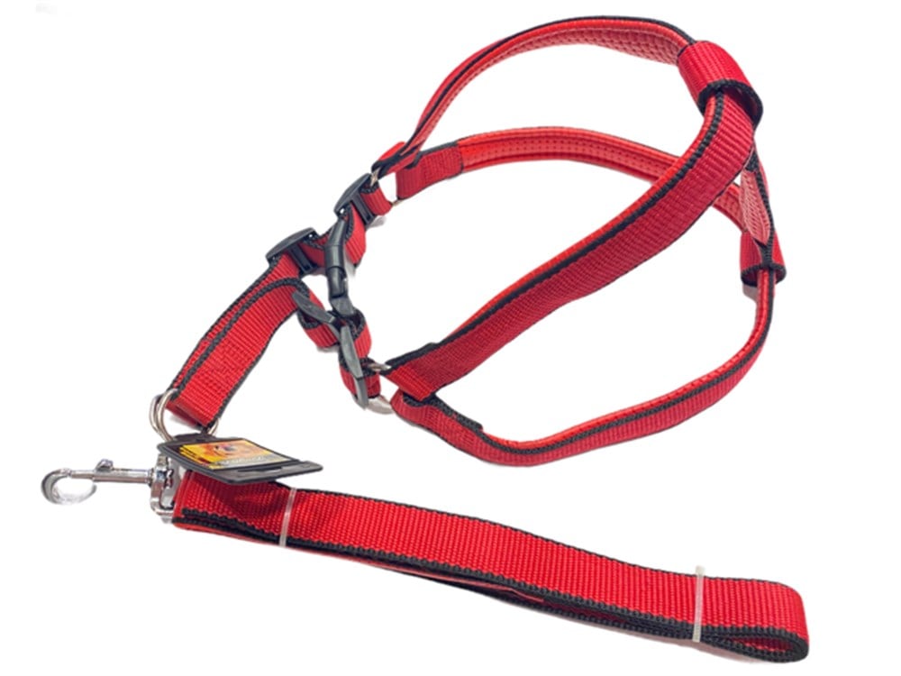 Büyük Boy Kırmızı Yumuşak Dokulu Göğüs Tasması ve Gezdirme Kayışı Seti (70 cm göğüs)