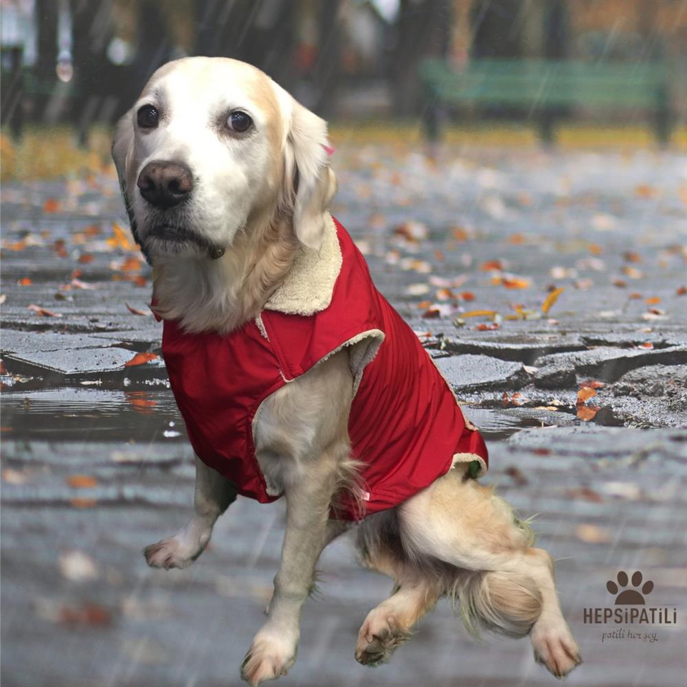 Pawstar içi Polarlı, Orta-Büyük Irk Köpek Yağmurluğu Kırmızı