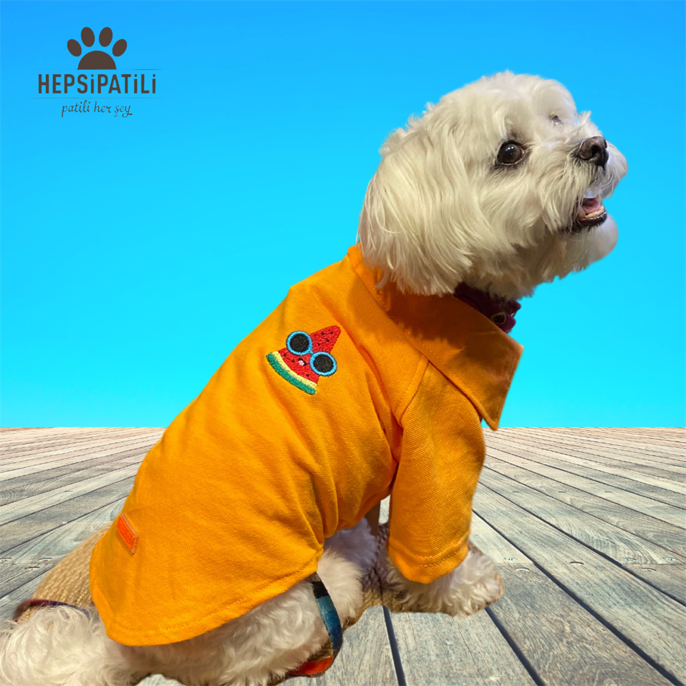 Pawstar Pepo Küçük Irk Köpek Polo T-shirtü (2,5 kg-11 kg arasına uygun)