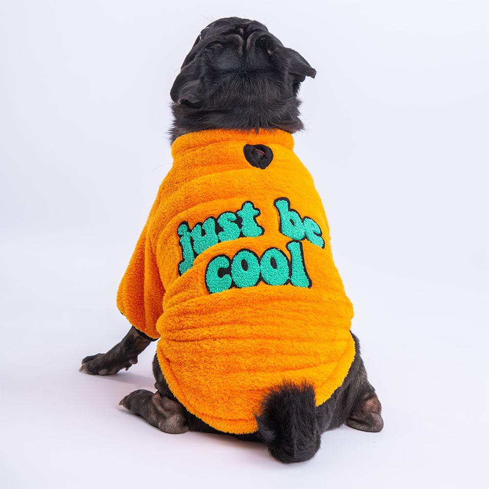 Pawstar Turuncu Cool Sweet Küçük Irk Köpek Pofuduk Sweatshirt