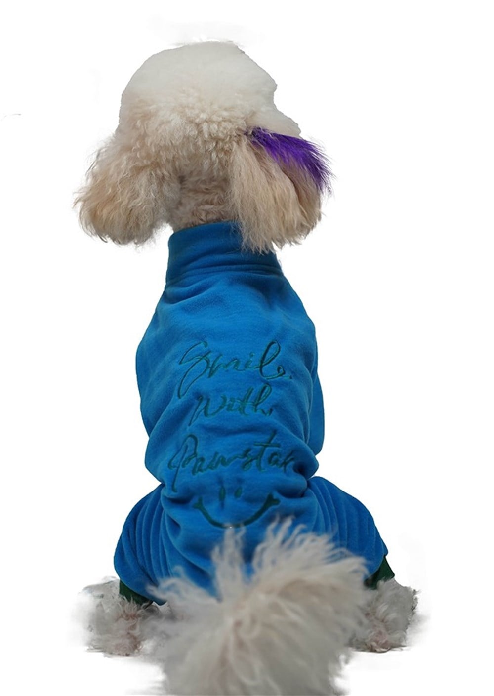 Pawstar Mavi Smile Kadife Küçük Irk Köpek Tulumu